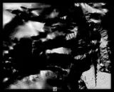 Graphic fragment number 57.
